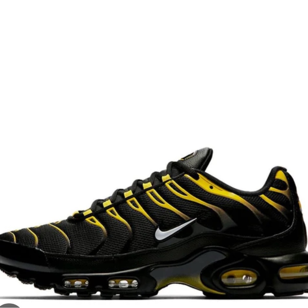 Nike Air Max Plus Sneakers